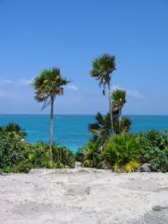 Taken on the coast of Cozumel at Tulum by Stephanie Puttre 